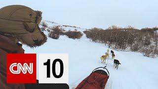 Experiencing A Sled Dog Race