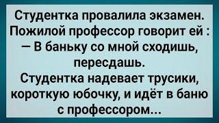 Как Студентка в Бане Экзамен Пересдавала! Сборник Свежих Анекдотов! Юмор!