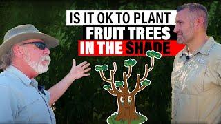 Is it OK to Plant Fruit Trees in SHADE?! (Plus Pruning Example) W/ Tree Expert Tom Spellman