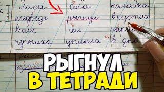 Проверяю рабочие тетради по русскому языку 1 класс