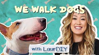 LaurDIY Has A Hilarious Mini Bull Terrier | WeWalkDogs