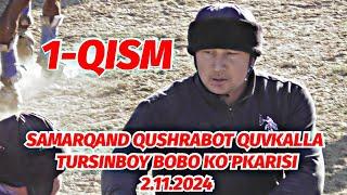 1-QISM SAMARQAND QUSHRABOT QUVKALLA TURSINBOY BOBO KO'PKARISI 2.11.2024 @Voxa_Uloq