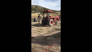 Cattle working area and chute under construction