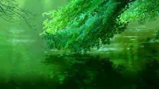 Despair - Ghosts