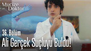 Ali gerçek suçluyu buldu! - Mucize Doktor 36. Bölüm