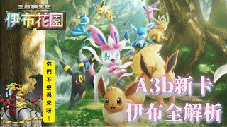 達克鬼龍又双叒叕被針對? 最強伊布居然是他？！ 全新A3b擴充包伊布花園新卡排名全解析 【PTCG POCKET】