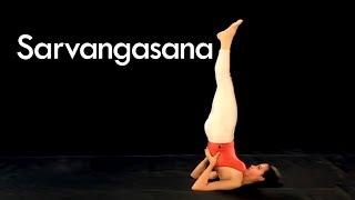 How to do Sarvangasana - Shoulder Stand Yoga Pose