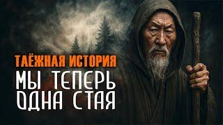 МЫ ТЕПЕРЬ ОДНА СТАЯ | ВЫЖИВАНИЕ В ТАЙГЕ | ТАЁЖНЫЕ ИСТОРИИ