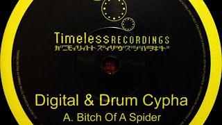 Digital & Drum Cypha - Bitch Of A Spider (Drum Cypha Remix)