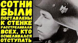 Воспоминания немецких солдат выживших в Сталинграде / Письма с фронта