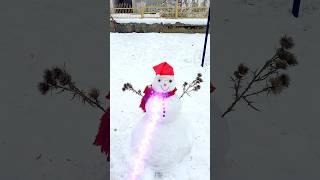 Snowman ki atma ️||zoya sheikh #viral #trending #shorts #youtube #zoyasheikh