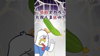 都是瓜，为啥就丝瓜里面长那么多丝啊？#shorts #丝瓜 #我是小魔