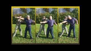 Kizlyar Supreme Training Knife vs Stick by Shihan Victor Fomin