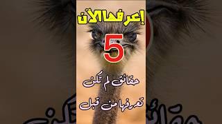 5 حقائق مثيرة وغريبة لم تكن تعرفها من قبل!