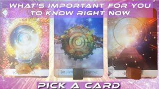 Your Guides Are Revealing This To You️What Is Important for You to Hear Right Now🪶