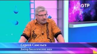 Феномен сознания и самосознания. Савельев С. В.