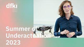 Summer of Underactuation 2023