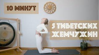 5 ТИБЕТСКИХ ЖЕМЧУЖИН | 10 МИНУТ | тибетцы держали эту практику в секрете