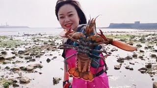 There was a large nest of crabs and a giant lobster was caught! Make a fortune today!