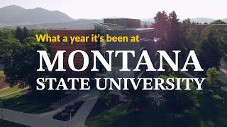 Montana State University: 2024 Year in Review