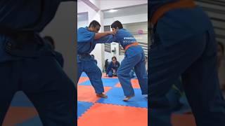 Kudo Mixed Martial Arts