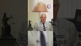 Что делать водителю при ДТП с пешеходом? #закон #севастополь