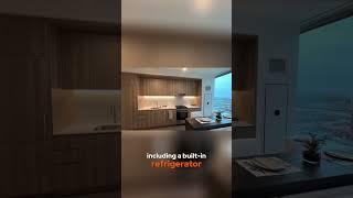 Video Tour of Luxury Convertible Apartment in South Loop