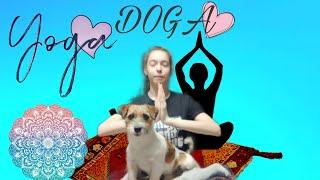 DOGA-CHALLENGE‍️| Йога с собакой #yoga #йога #challenge