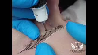 Feather Nano brows