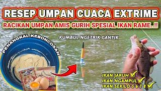 RESEP UMPAN JITU CUACA EXTRIME !! RACIKAN UMPAN IKAN MAS AMIS GURIH TARGET IKAN RAME  