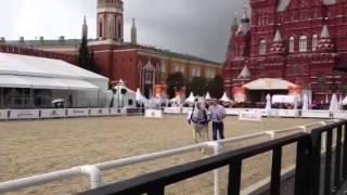 Tersk Stud stallions on the Red Square in Moscow.