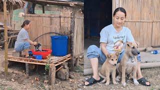 single mother 17:Build a clean place to wash clothes, dishes and buy puppies