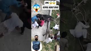 Anari qasai bewakoof 2025