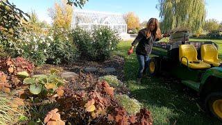 Starting Fall Flower Bed Cleanup!  // Garden Answer