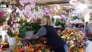 La Fontaine Fleurie Mannequin Challenge