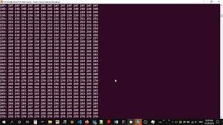 Adv Computational Biology CSCI 451-551: RMQ - Sparse Table