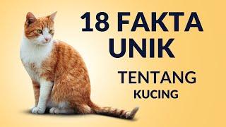 18 FAKTA UNIK TENTANG KUCING