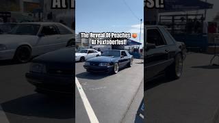 The reveal of Peaches at Foxtoberfest 2024!  #latemodelresto #foxtoberfest #shorts