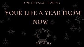 Your Life In a Year - Online Tarot Pick a Card Reading 