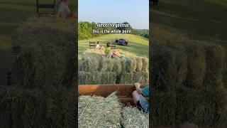 It was worth every ounce of sacrifice and hard work! ️     #country #homestead #farmlife #goals