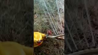 How To Fix Old Rusty Lawn Sprinkler