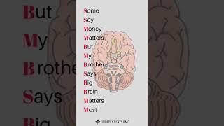 Cranial Nerves Classification | Mnemonics | #shorts #neuroanatomy #mnemonics