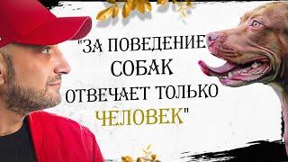 Антуан Наджарян: "За поведение собак отвечает только человек"