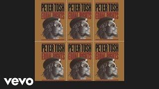 Peter Tosh - Downpressor Man (Audio)