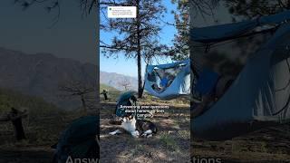 Hammock tent camping with a dog?? Answering your questions about the Haven Hammock Tent #campinggear