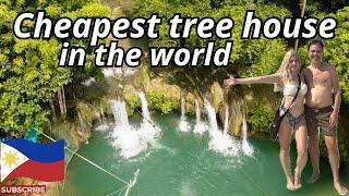 You Won’t Believe This Is the World’s Cheapest Treehouse — Just €4 a Night on a Mystic Island!