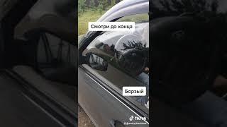 Когда остановила полиция