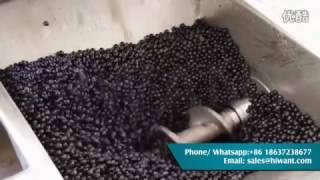 Grape Destemmer Machine & Processing Line -- Grape Wine Making Machine