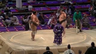 大相撲.2016.7.19㉑/隠岐の富士(okinofuji)-飛翔富士(hishofuji)/nagoya Basho/day 10 #sumo