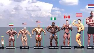 Top Bodybuilders Height Comparison: From Shortest to Tallest